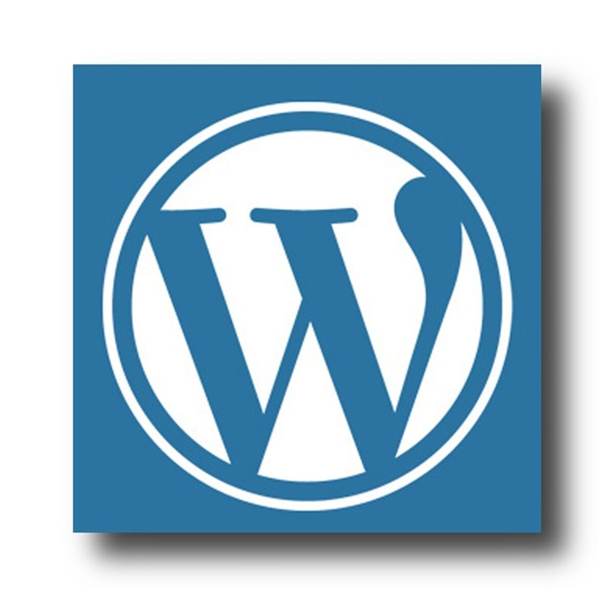How to Install a WordPress Theme