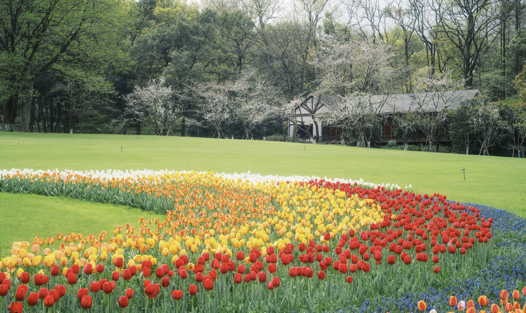 "Experience the Irresistible Flavors of Spring in Hangzhou: A Jiangnan Delight!" 1